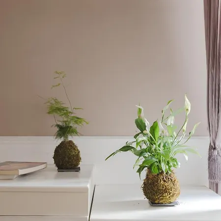 Residenza Il Duca بيت ضيافة روما