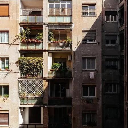 Residenza Il Duca 4* Roma