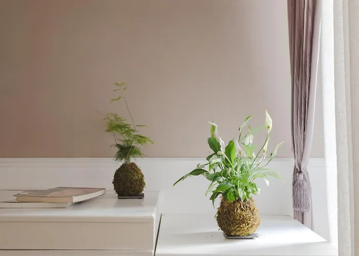 Residenza Il Duca Gasthuis Rome